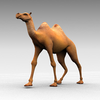 Animated Camel Walking Image